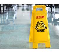 The Calamitous World of Tort Law