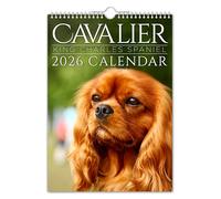 The Calendar king - Cavalier King Charles - 2026 Wall Calendar // Animals/Pets/Christmas/Birthday/Gift Idea/Present/Novelty/Humour/Secret Santa/Year Planner/Office Gift