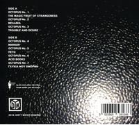 THE CALLAS WITH LEE RANALDO-TROUBLE AND DESIRE NEW CD