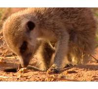 The Calm Before the Storm