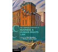 The Cambridge Companion to Business and Human Rights Law