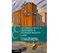 The Cambridge Companion to Business & Human Rights Law (Cambridge Companions to Law)