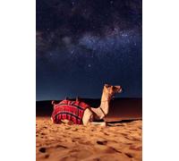 The Camel: Crypto paper wallet: A HIDDEN book for storing your seed/Secret Recovery Phrases safely with more than 100 pages larger at 6 x 9 inches