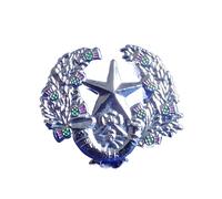 The Cameronians (Scottish Rifles) Lapel Pin/Sweet Heart Pin