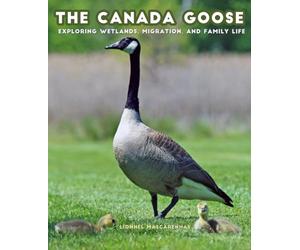The Canada Goose: Exploring Wetlands, Migration, and Family Life