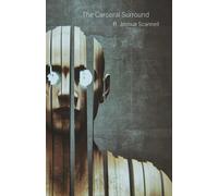 The Carceral Surround