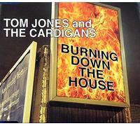 The Cardigans - Burning Down The House