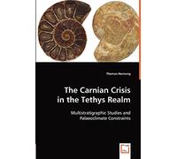 The Carnian Crisis in the Tethys Realm: Multistratigraphic Studies and Palaeoclimate Constraints