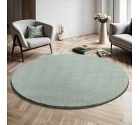 the carpet Relax Modern Fluffy Short Pile Rug, Non-Slip Underside, Washable up to 30 Degrees, Super Soft, Fur Look, Green, 200 x 200 cm Round