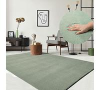 the carpet Relax Modern Fluffy Short Pile Rug, Non-Slip Underside, Washable up to 30 Degrees, Super Soft, Fur Look, Green, 80 x 150 cm
