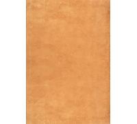the carpet Relax - Soft Bathroom Rug, Bath Set, Bath Mat, Bath Rug, Anti-Slip Backing, Washable up to 30 Degrees, Super Soft, Fur Look Terra, 60 x 110 cm