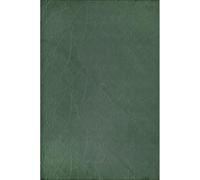 the carpet Rio - modern and soft carpet with non-slip backing and 3D look, fluffy surface, easy-care and robust, green, 160 x 220 cm