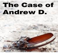The Case of Andrew D. PC Steam CD Key