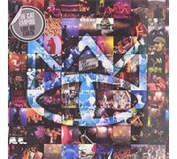 The Cat Empire - Live On Earth