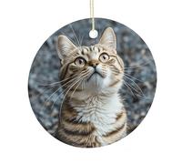 The Cat is Looking Up Ceramic Ornament, Round Ornaments with Hole, Hanging Ornament for Window Home Garden Christmas Day Party Wedding Decoration