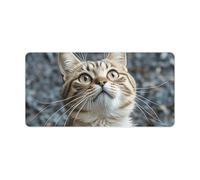 The Cat is Looking Up Desk Pad Waterproof Writing Mouse Pad Non-Slip Laptop Desk Protector Large Office Desk Mat Computer Keyboard Rubber Mat for Work Home Decor 12" X 24"
