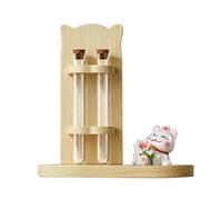 The Cat Moustache Vase | Decorative Box with Cork Stopper, Positive Cat Jar - Suitable for Car Garden Office Desk Pets Indoor