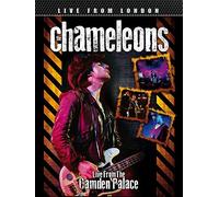 The Chameleons - Live From London