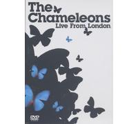 The Chameleons: Live From London [DVD]
