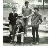 The Chameleons Tony Fletcher Walked On Water Vinyl EP NEW