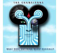 THE CHAMELEONS - WHAT DOES ANYTHING MEAN? BASICALLY