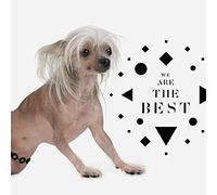 The Chap - We Are The Best