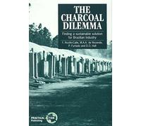 The Charcoal Dilemma: Finding a sustainable solution for Brazilian industry