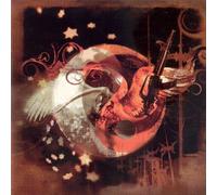 The Charity of Night by Bruce Cockburn (2008) Audio CD