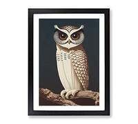 The Charming Owl Framed Print | A2 Black Framed Wall Art | Ready to Hang | Modern Animal Picture | Living Room Bedroom Lounge Office
