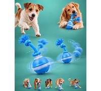 The Chase Buddy Dog Toy, Interactive Toy for Boredom, 3 Smart Modes，Blue | Touch Activated Random Rolling Ball, USB-C Rechargeable, Chew Resistant ABS & TPU Shell, Rolls on Thick Carpets & Hard Floors