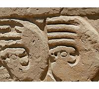 The Chimú-Empire of the Northern Coast