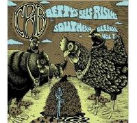 The Chris Robinson Brotherhood - Betty's Midwestern M - ID3z
