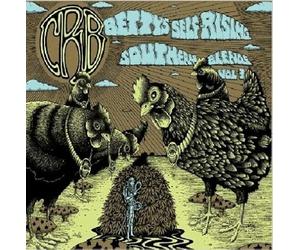 The Chris Robinson Brotherhood - Betty's Midwestern M - ID3z