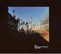The Cinematic Orchestra Ma Fleur (Vinyl)