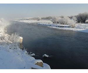 The Clash between Turks and the Caliphate