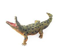 The clear alligator diagram is a realistic skin texture figure for biological studies and stimulating imagination