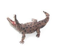 The clear alligator diagram is a realistic skin texture figure for biological studies and stimulating imagination