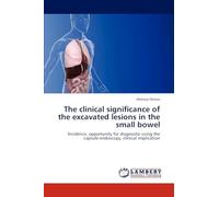The clinical significance of the excavated lesions in the small bowel: Incidence, opportunity for diagnostic using the capsule endoscopy, clinical implication
