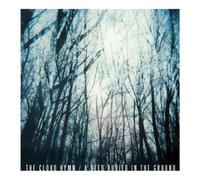 The Cloud Hymn - A Seed Buried In The Ground