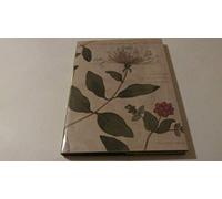 The Clutius Botanical Watercolors: Plants and Flowers of the Renaissance