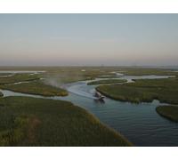 The Coastal Journey Begins