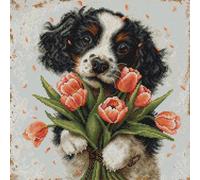 Luca-S Counted Cross Stitch Kit The Cocker Spaniel Puppy BU5067 for Adults