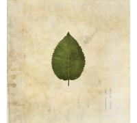 THE BOXER REBELLION - THE COLD STILL (GREEN SWIRLED VINYL) [VINYL]