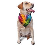 The Colorful Pigments Exploded Printed Graphic Pet Triangle Scarf For Dogs & Cats, Adjustable Cute Pet Bandana For & Photo Shoots