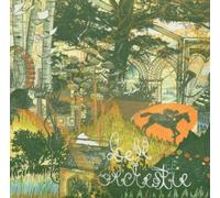 The Colour of Light (CD) Album (US IMPORT)