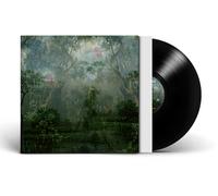 Twice a Man - The Coloured Breeze Is a New Dimension - Vinyl - Integral (2025)