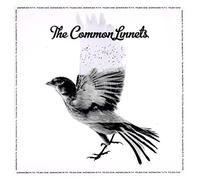 Common Linnets - Common Linnets