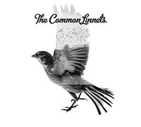 Common Linnets - New CD - 35 - U11501z