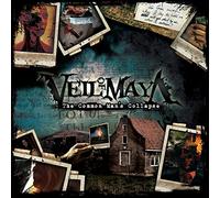 The Common Man's Collapse [VINYL]