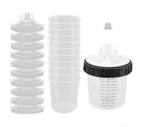 The Companion A Complete Guide to Using Your New 23pc Disposable Spray Can Kit Effectively (600ml)